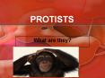 PROTISTS PowerPoint PPT Presentation