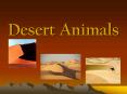 Desert Animals PowerPoint PPT Presentation