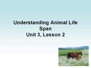 Understanding%20Animal%20Life%20Span%20Unit%203,%20Lesson%202