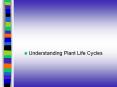 Understanding Plant Life Cycles PowerPoint PPT Presentation