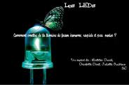 LED ou DEL (Diode Emitting Light) ou litt