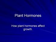 Plant%20Hormones