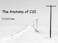 The Anatomy of CSI PowerPoint PPT Presentation