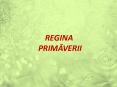 REGINA PowerPoint PPT Presentation