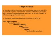 Presentazione di PowerPoint