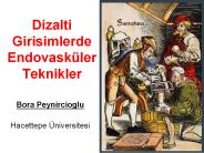 Dizalti Girisimlerde Endovask