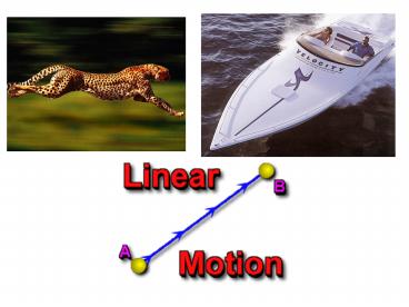 Ch. 2  Linear Motion