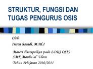 STRUKTUR, FUNGSI DAN TUGAS PENGURUS OSIS