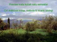 Nerve activates contraction