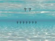 1.The main idea of the passage is _______