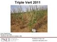 Triple Vert 2011 PowerPoint PPT Presentation