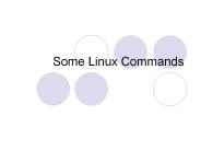 Some%20Linux%20Commands