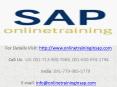SAP SRM Online Training and Job Assistance - Online Training in SAP PowerPoint PPT Presentation