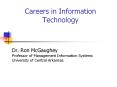 Careers in Information Technology PowerPoint PPT Presentation