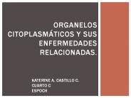 ORGANELOS CITOPLASM