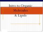 Intro%20to%20Organic%20Molecules