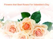 Flowers that Beat Roses For Valentine’s Day