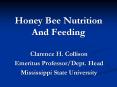 Honey Bee Nutrition And Feeding PowerPoint PPT Presentation
