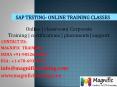 sap testing online training in australia PowerPoint PPT Presentation