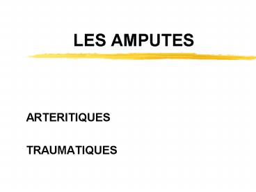 LES AMPUTES