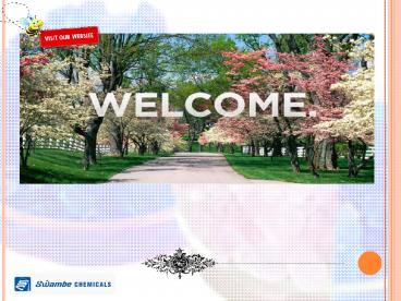 Silica Gel Crystal Suppliers – The Key Players in the Market