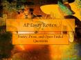 AP Essay Review PowerPoint PPT Presentation