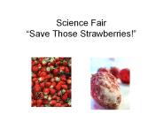 Science Fair 