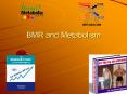 BMR and Metabolism PowerPoint PPT Presentation