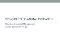 Principles of Animal Diseases PowerPoint PPT Presentation