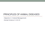 Principles of Animal Diseases