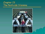 Chapter 23 The Pesticide Dilemma