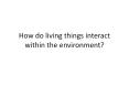 How do living things interact within the environment? PowerPoint PPT Presentation
