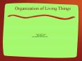 Organization of Living Things PowerPoint PPT Presentation