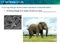 Living things share some common characteristics PowerPoint PPT Presentation