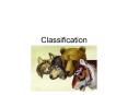 Classification PowerPoint PPT Presentation