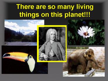 There are so many living things on this planet!!!