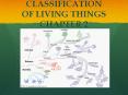 CLASSIFICATION OF LIVING THINGS CHAPTER 2 PowerPoint PPT Presentation