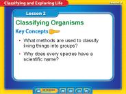 Lesson 2 Reading Guide