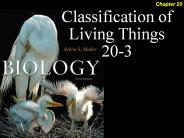 Classification of Living Things