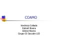 COAMO PowerPoint PPT Presentation