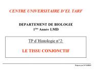 CENTRE UNIVERSITAIRE D