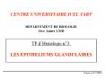 CENTRE UNIVERSITAIRE D PowerPoint PPT Presentation