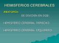 HEMISFERIOS CEREBRALES PowerPoint PPT Presentation