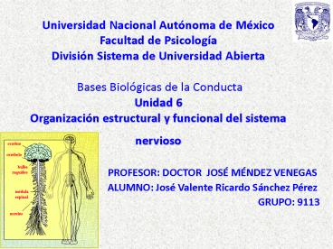 Universidad Nacional Aut