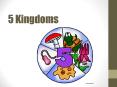 5 Kingdoms PowerPoint PPT Presentation