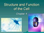 Structure and Function of the Cell