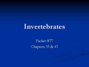 Invertebrates