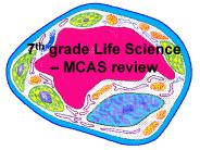 7th grade Life Science 