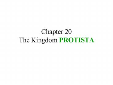 Chapter 20 The Kingdom PROTISTA