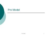 Pro Model